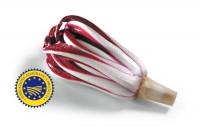 /album/prodotti-certificati/a1-treviso-rosso-tardivo-jpg/